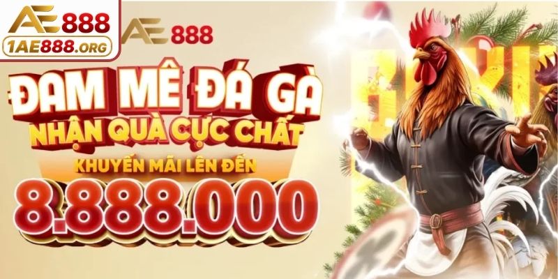 Các chương trình khuyến mãi chào mừng newbie