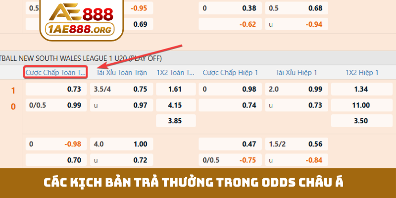 Các kịch bản trả thưởng trong odds châu Á