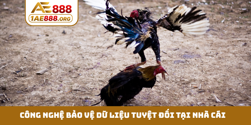 Công nghệ bảo vệ dữ liệu tuyệt đối tại nhà cái