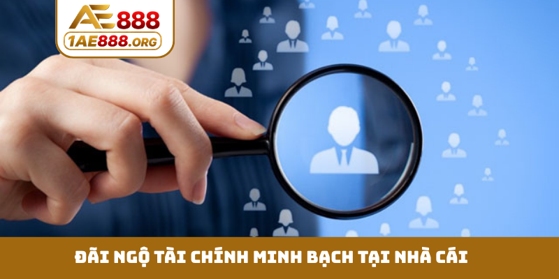 Đãi ngộ tài chính minh bạch tại nhà cái