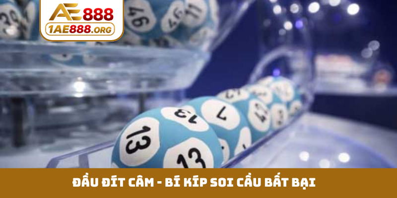 Đầu đít câm