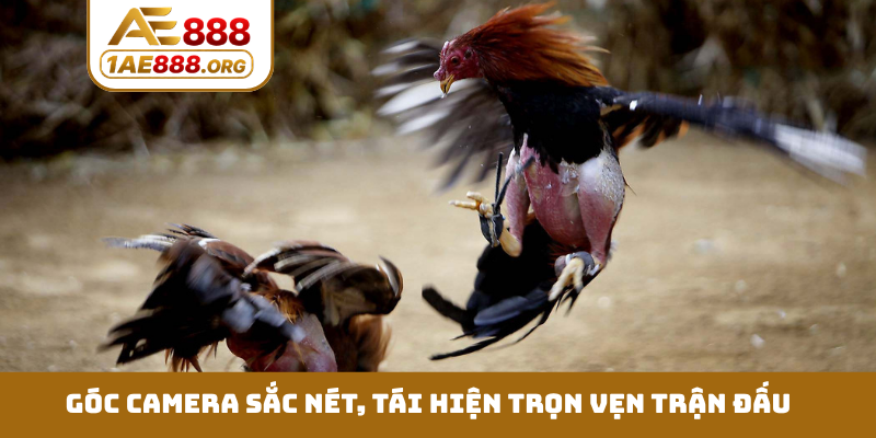 Góc camera sắc nét, tái hiện trọn vẹn trận đấu