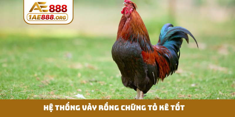 Hệ thống vảy rồng chứng tỏ kê tốt