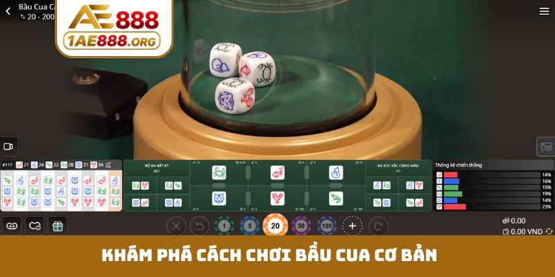 Khám phá cách chơi bầu cua cơ bản