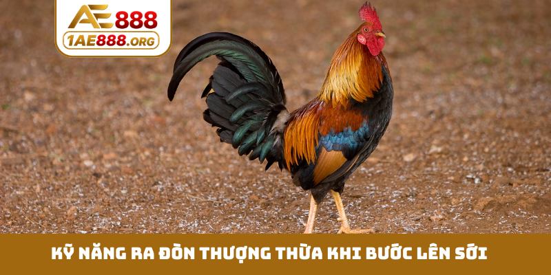 Kỹ năng ra đòn thượng thừa khi bước lên sới