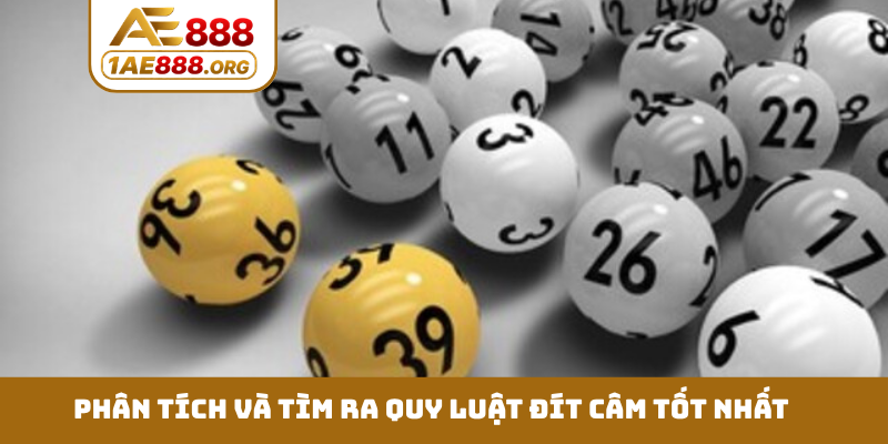 Phân tích và tìm ra quy luật đít câm tốt nhất