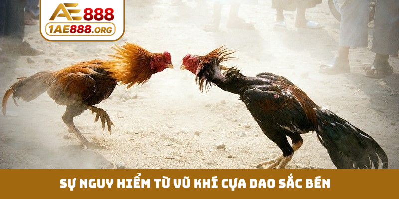 Sự nguy hiểm từ vũ khí cựa dao sắc bén