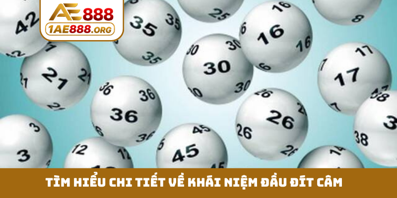 Tìm hiểu chi tiết về khái niệm đầu đít câm