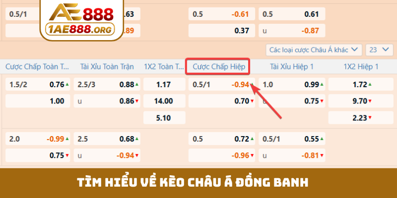 Tìm hiểu về kèo châu Á đồng banh