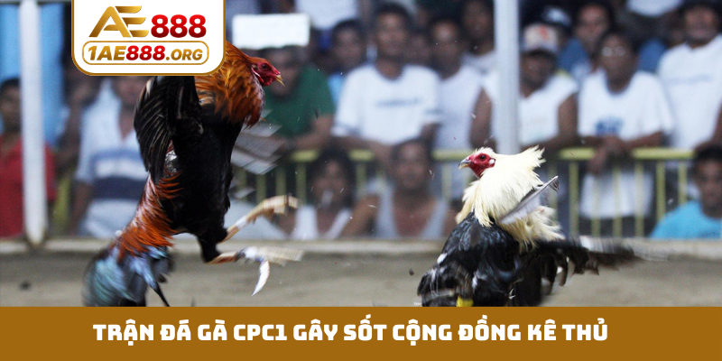 Trận đá gà CPC1 gây sốt cộng đồng kê thủ